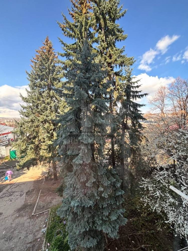 img_20260410_125522_874