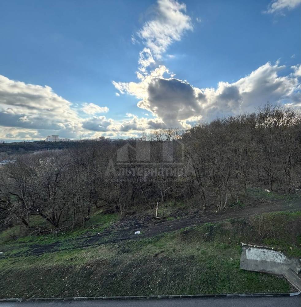 img_20260409_094136_174