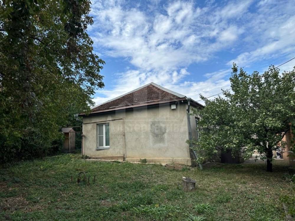 d1831e84-481c-4855-97a3-d019c38168d8