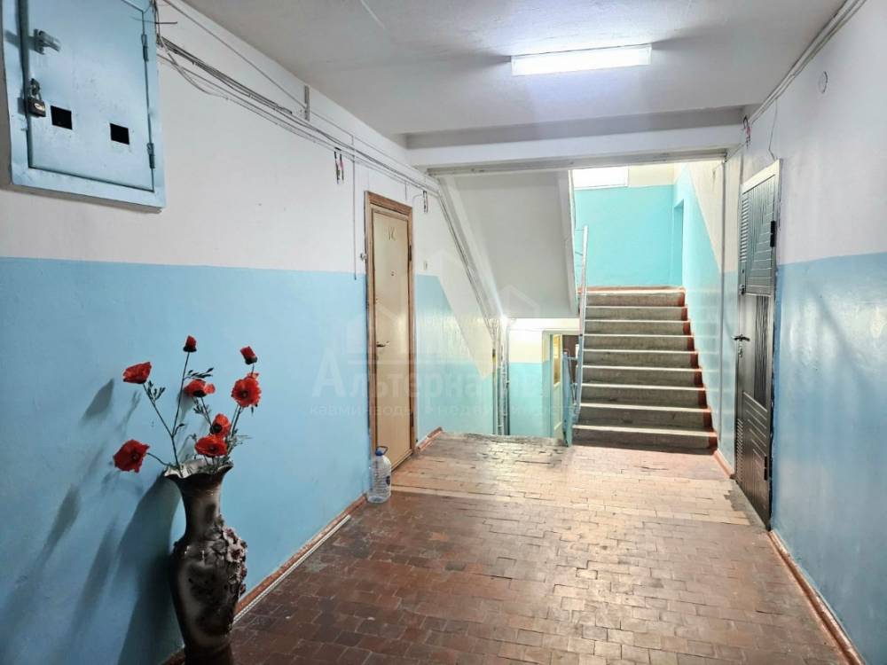 ce8b8ca4-0ae5-4195-b2db-e2f5958de91a