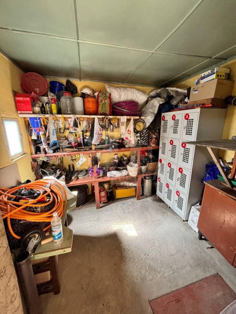 img_20260429_124042_989