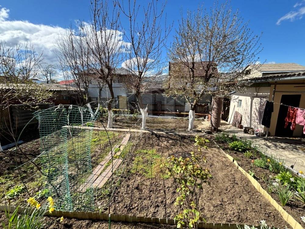 img_20260429_124047_539