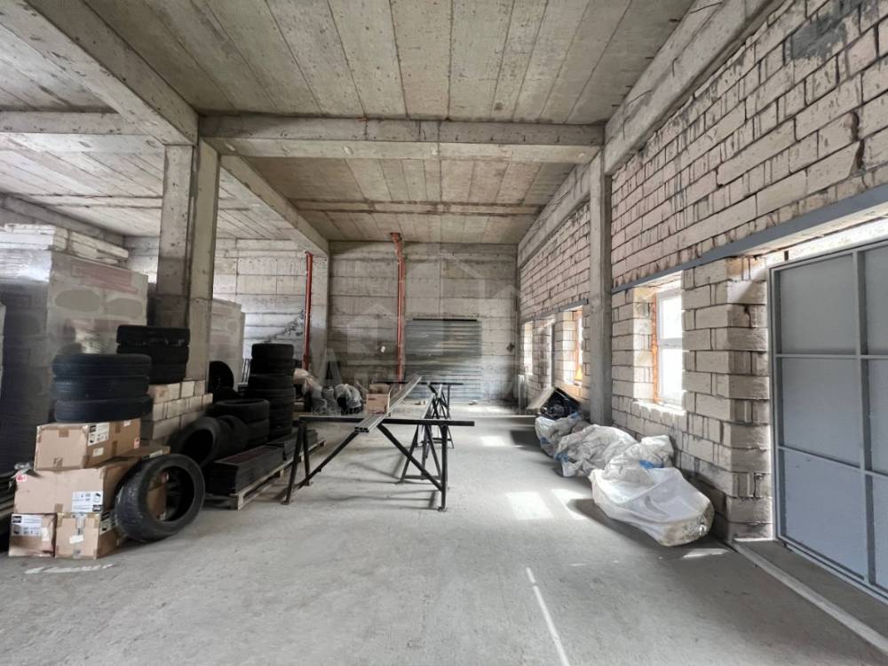 img_20260331_144947_738