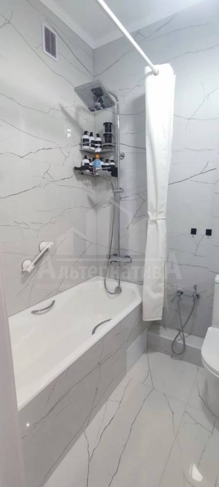 d6e95647-439b-4355-8c38-dffaf8ed0a2a