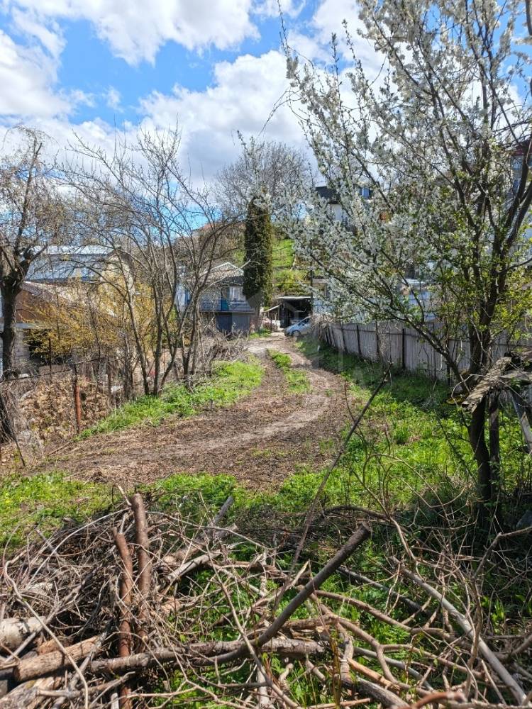 img_20260425_125029_970