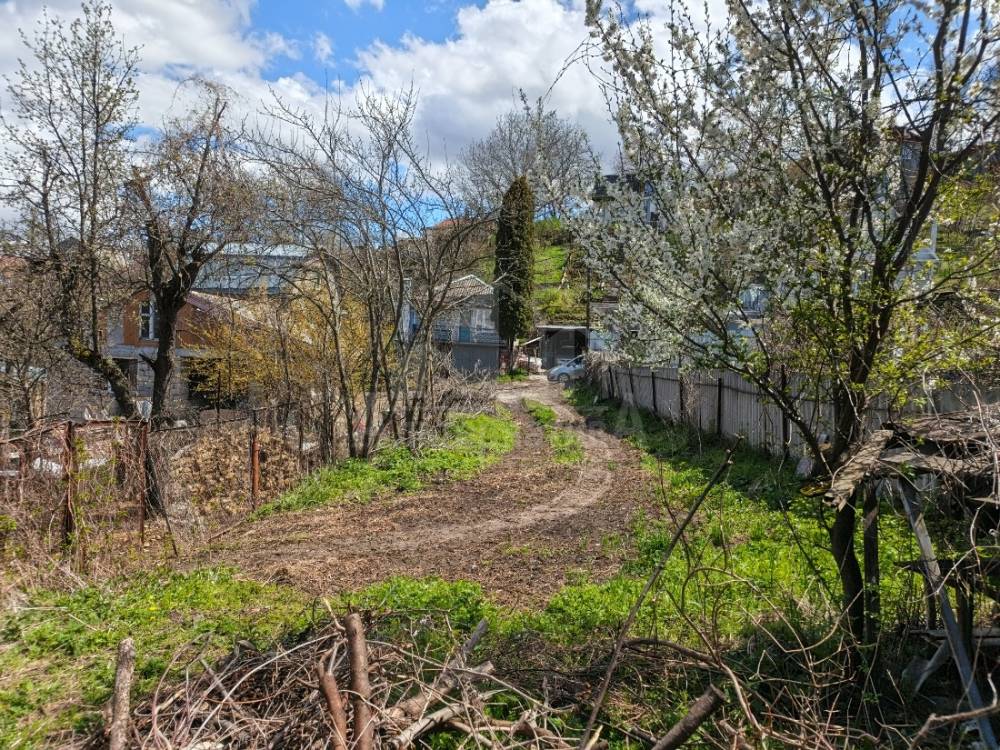 img_20260425_125032_788