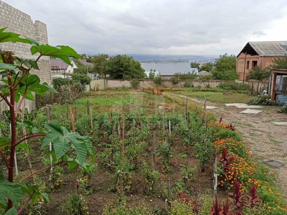 9d50167c-65a7-4e69-99d2-ee6385b86395