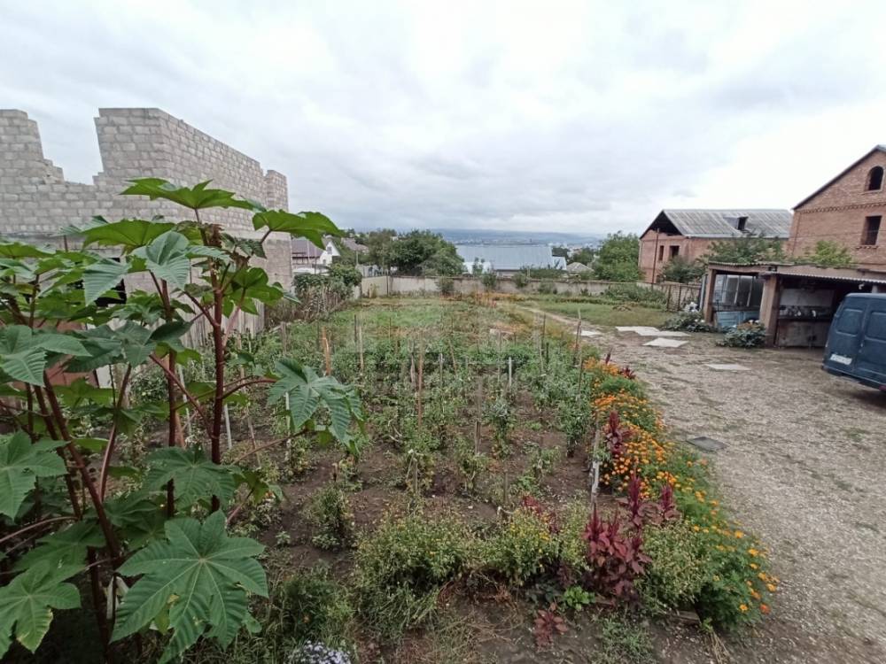 795762b5-cdd7-497d-9061-87c49d5da4d9