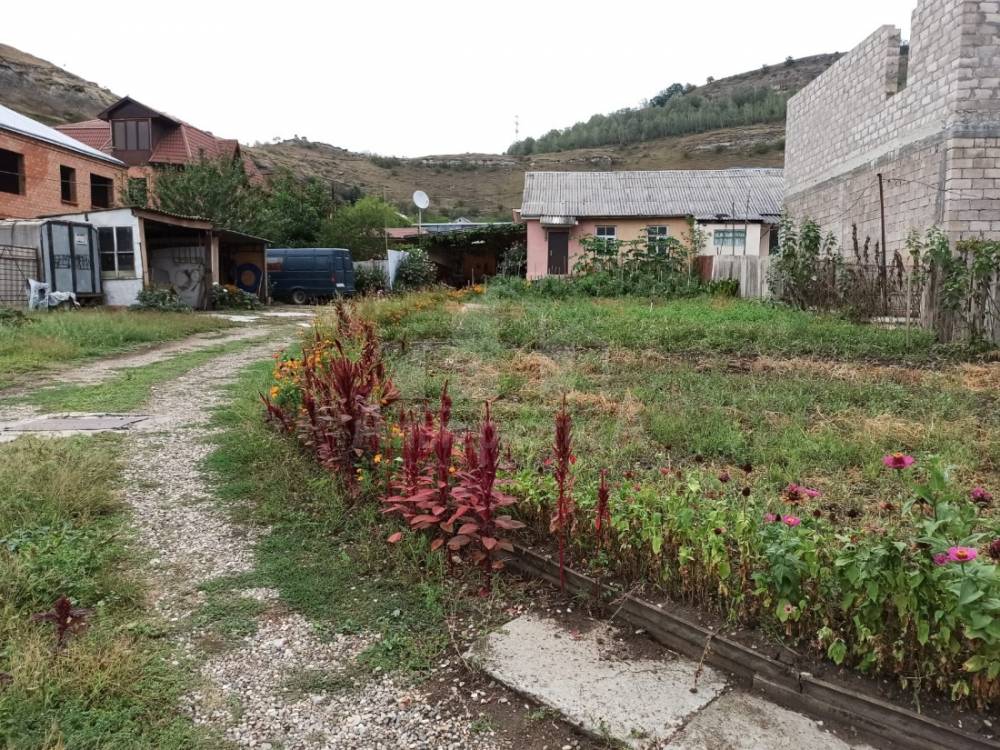 d41ae21a-79d2-496d-9f90-8c074e64c09b