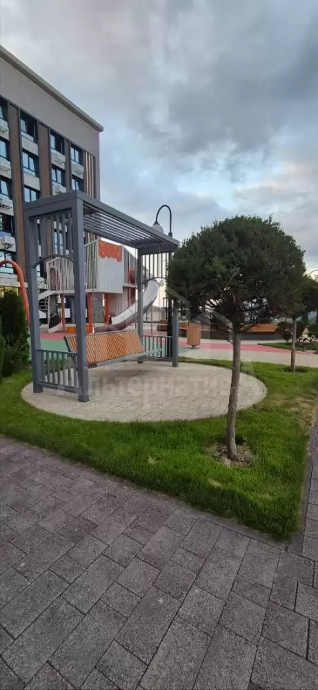 1000611494