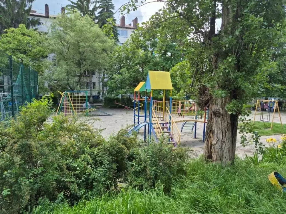 20260606_131922