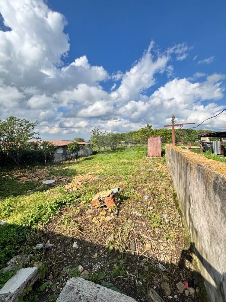 img_4561