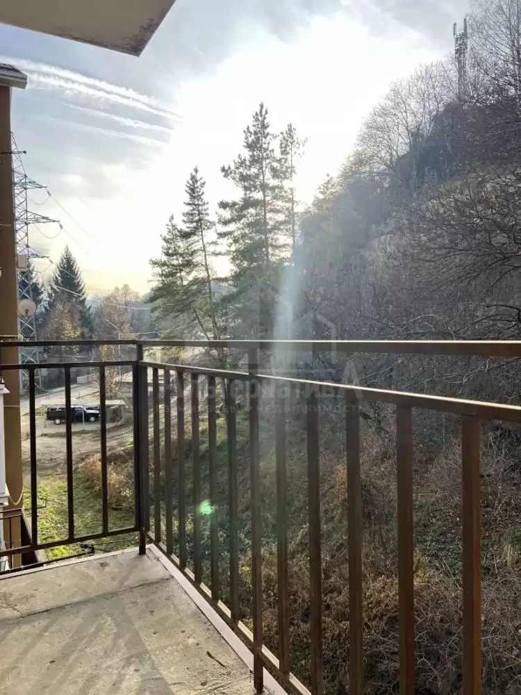 1001165393