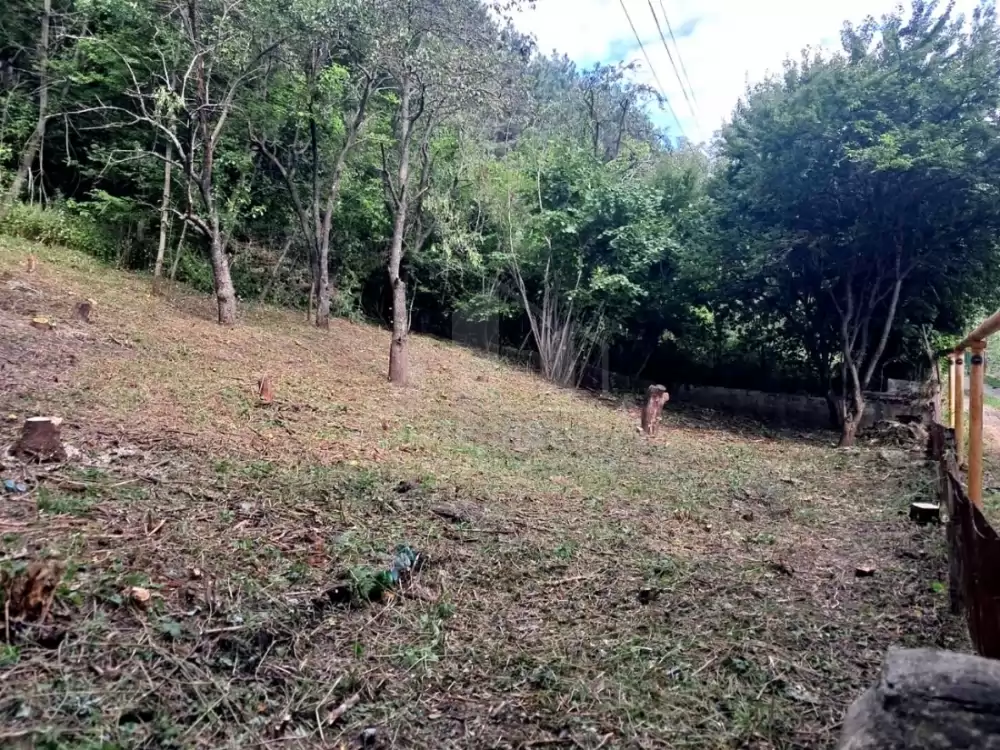 img-20260827-wa0005