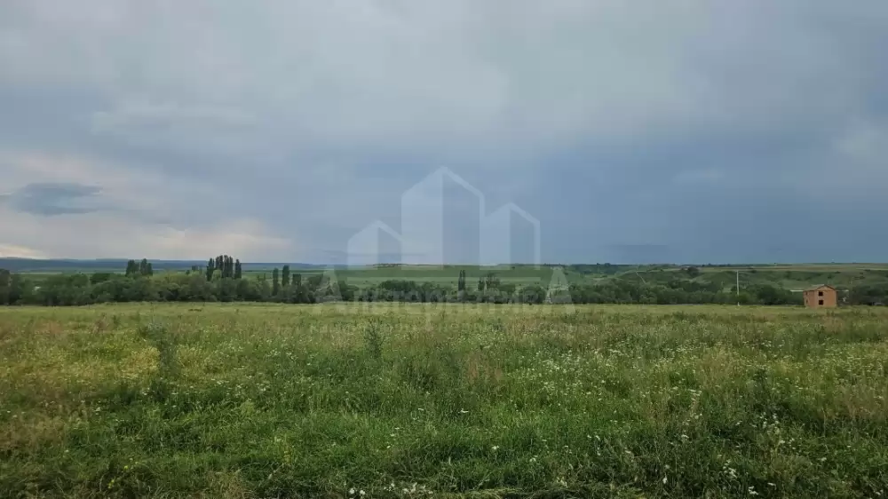 20260703_143802