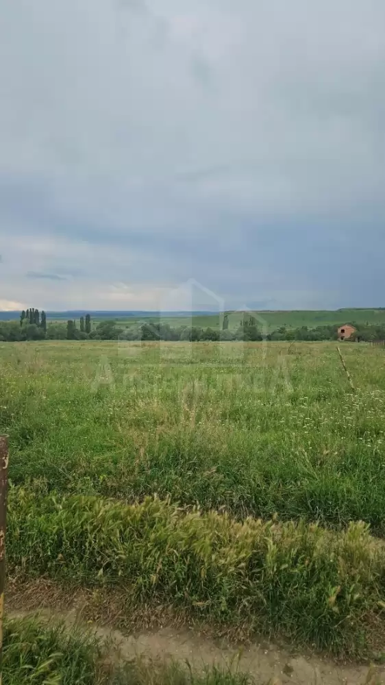 20260703_144118