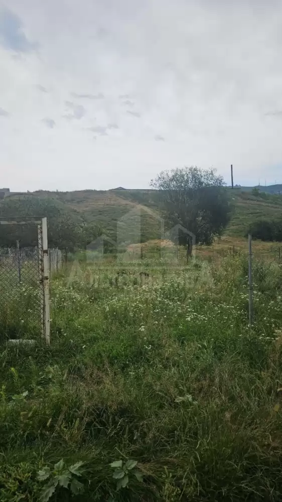 20260703_143745