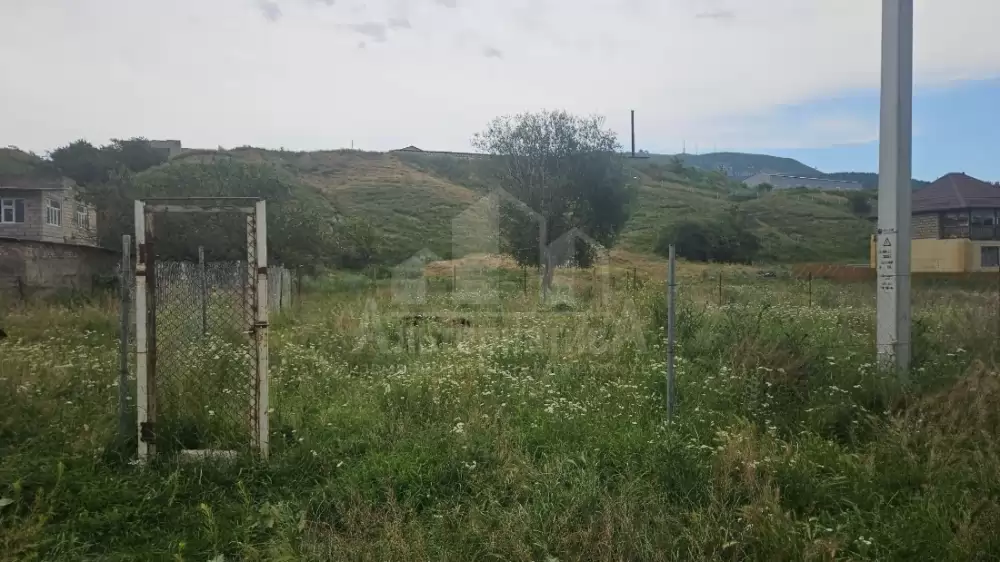 20260703_143749