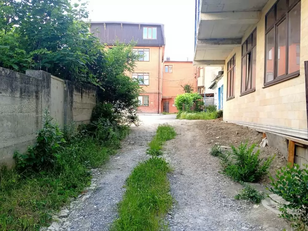 дорога к участку