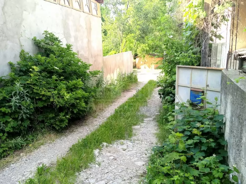 дорога к участку