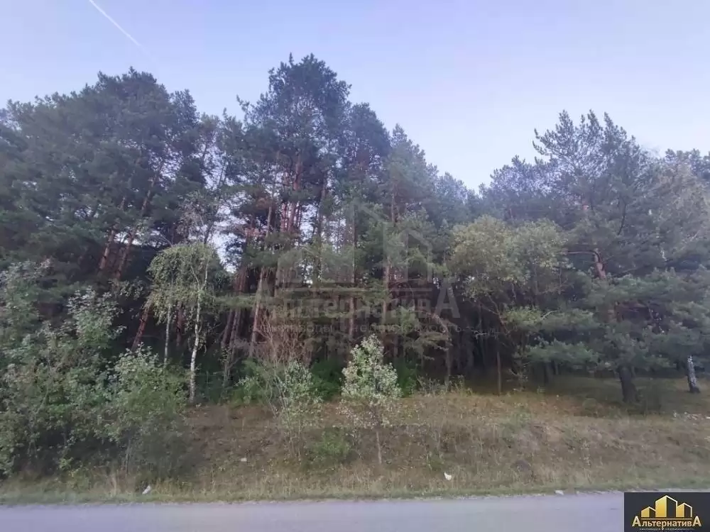 дорога к участку