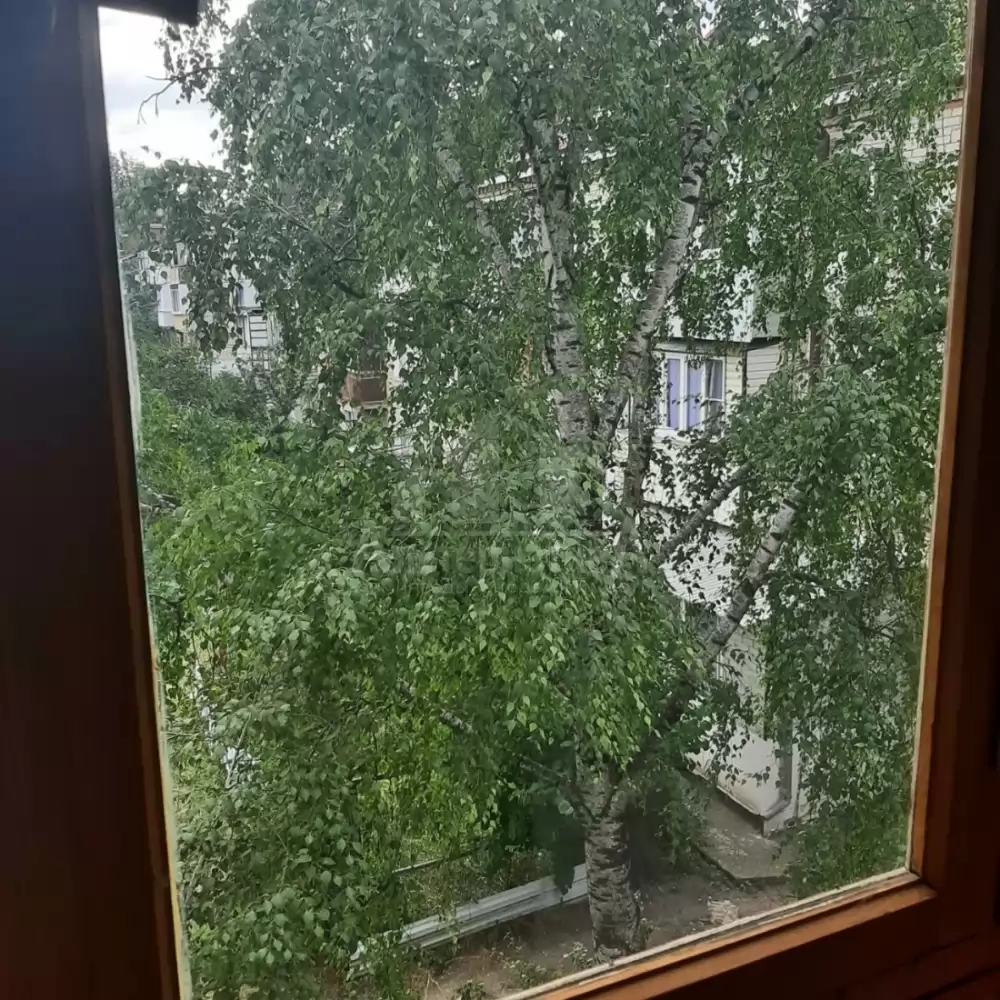 1000571251