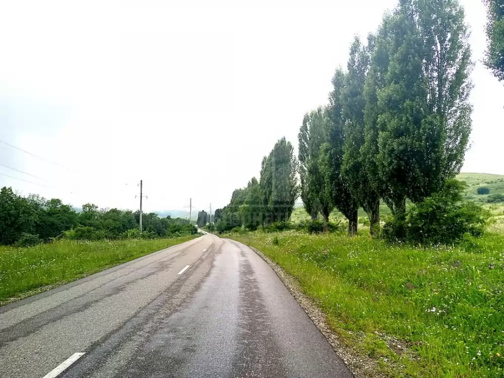 дорога к участку