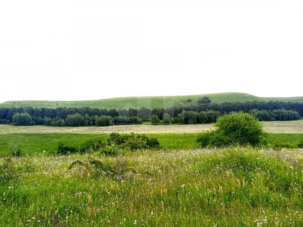 вид с участка