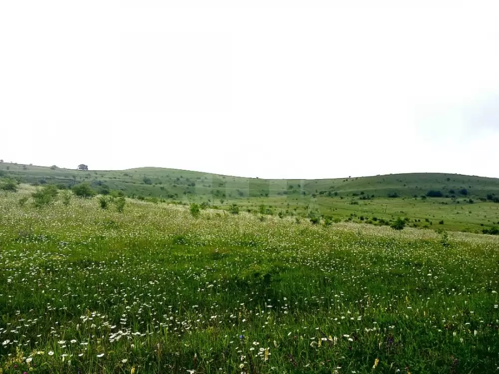 участок