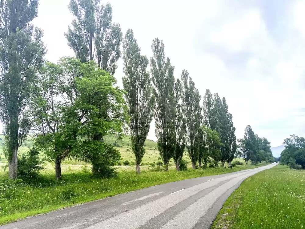 дорога к участку