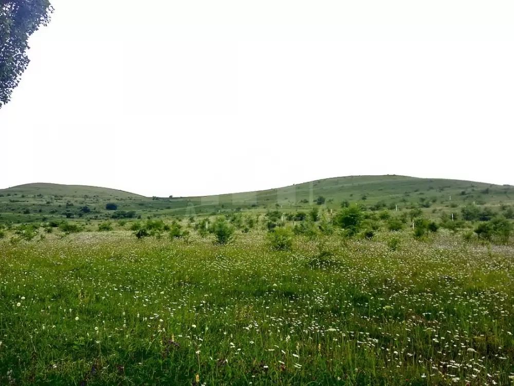 участок