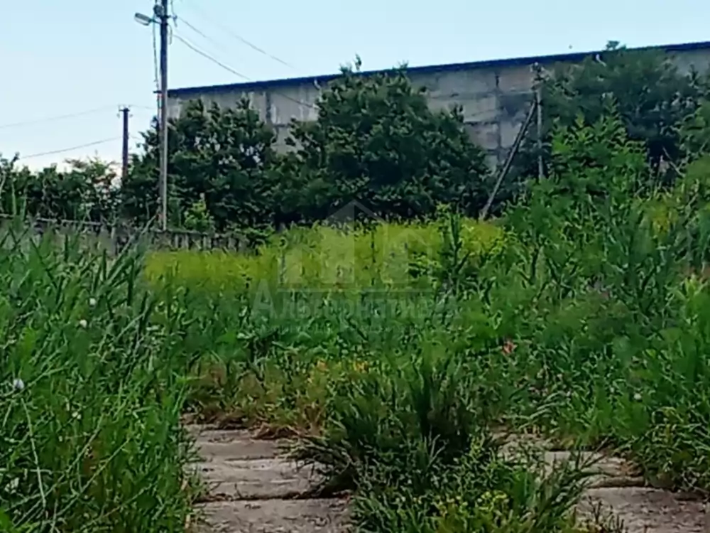 1000573806