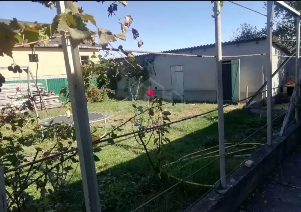 1000577572