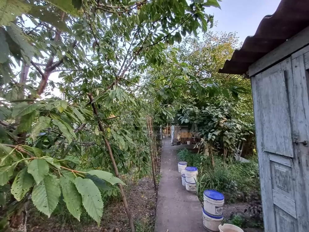 1000579433