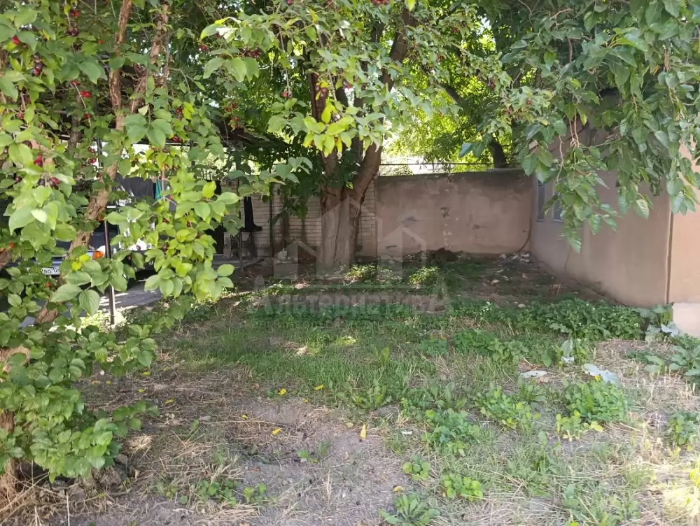 1000205749