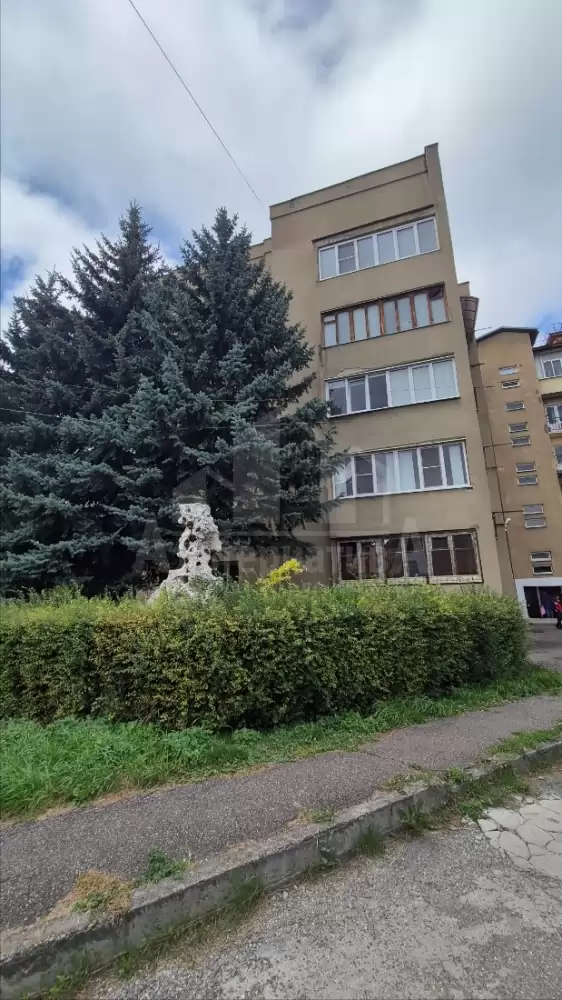 1001257442