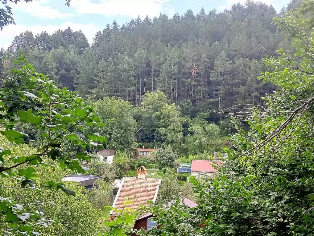 вид с участка