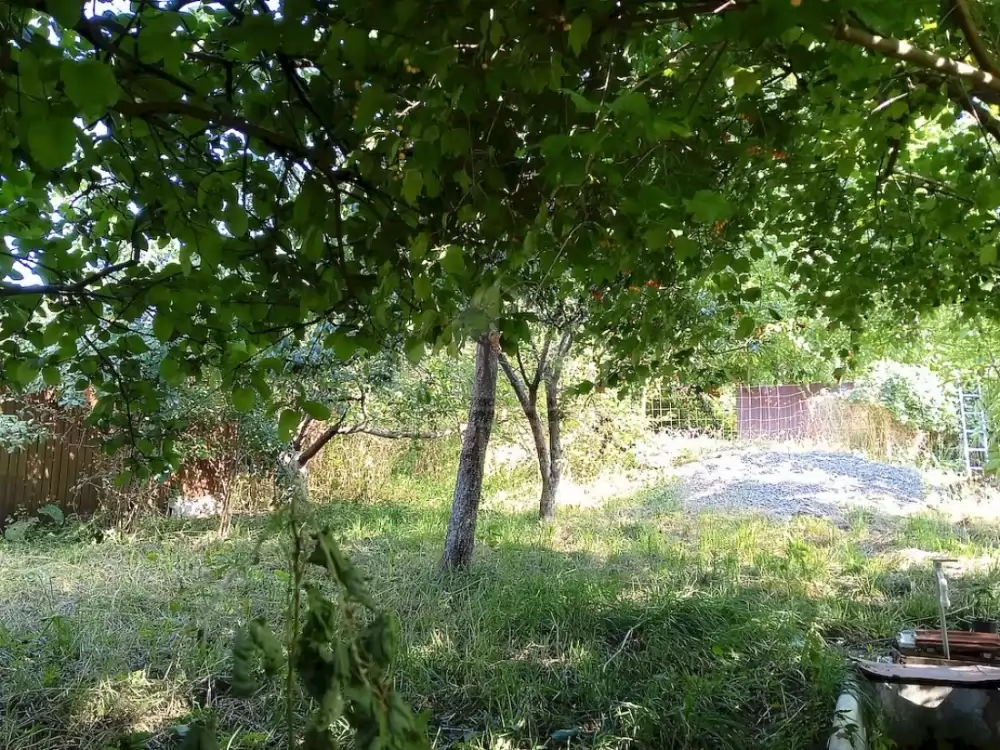 участок