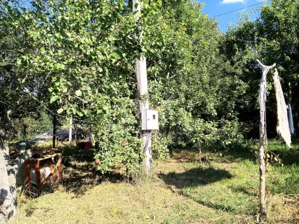 участок