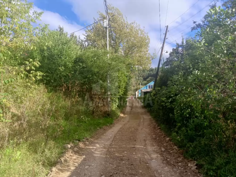 дорога к участку