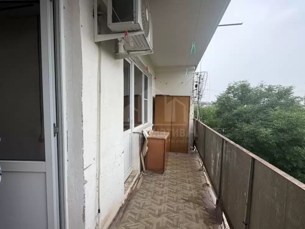 1000593134