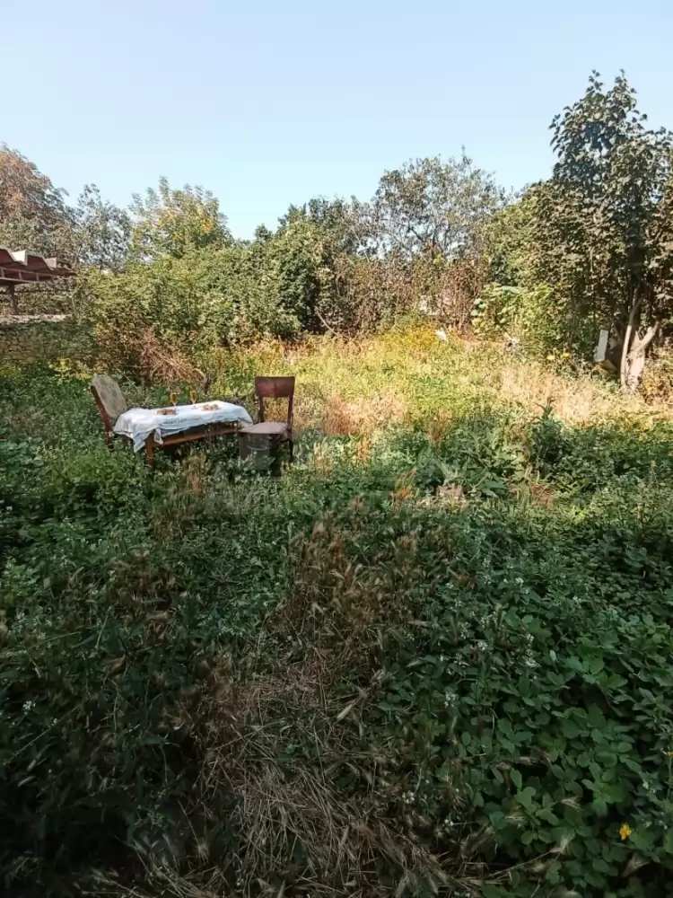 1000597131