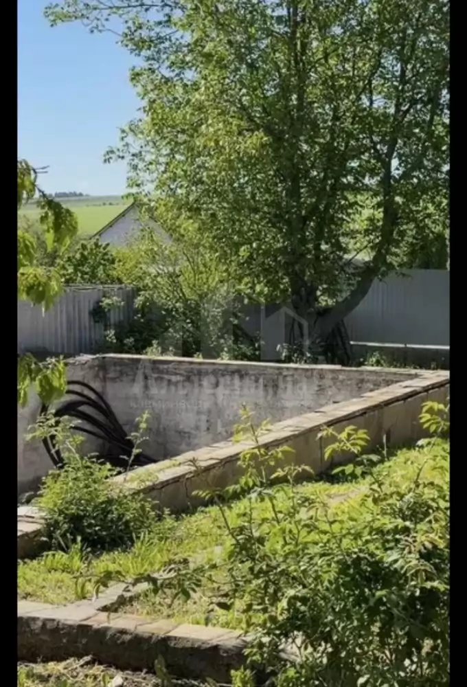 1000594971