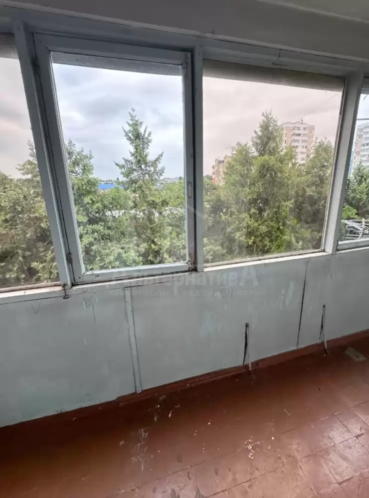 1000601556