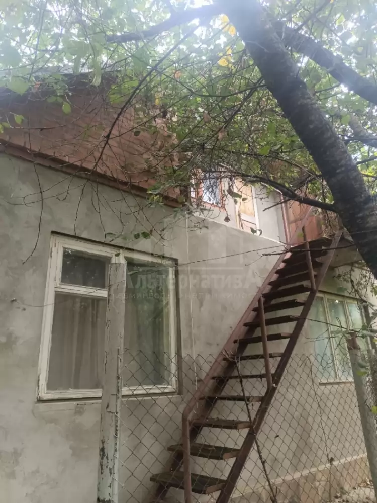 1000605393