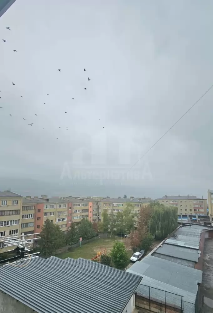20261001_110534