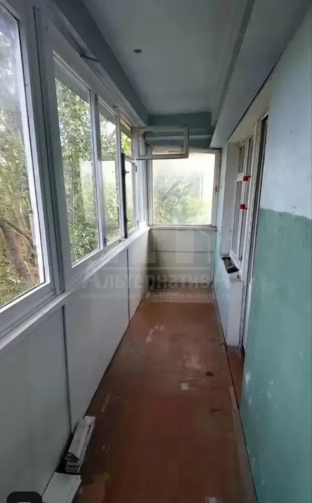 1000223603