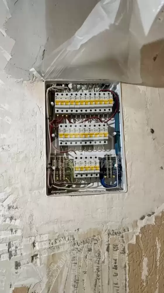 1 (2)