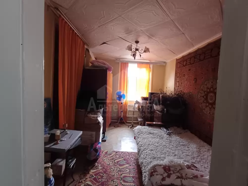 1000603532