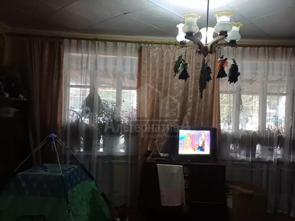 1000603534